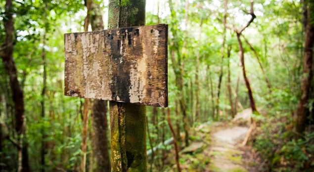 Debuter en trail