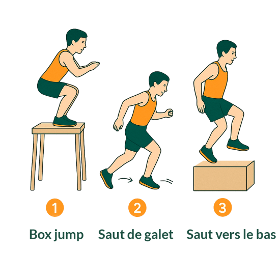 Renforcement musculaire
